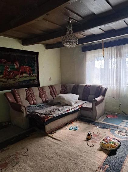 Casa 3 camere de vanzare in Andrid , 14 ARI , un nivel , 22.000 euro neg. - 8