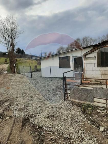 Afacere la cheie în creșterea porcinelor – Rona de Jos - 6