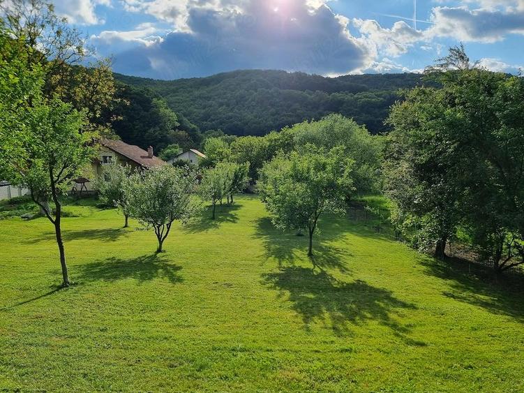 Casa de vanzare in Lesnic - 9