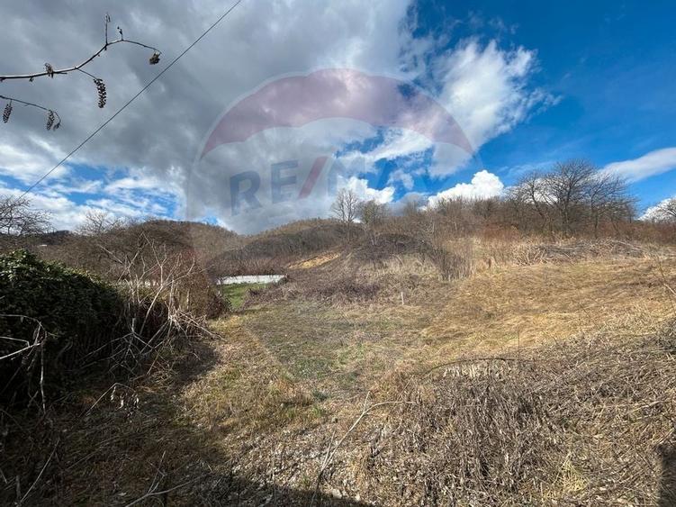 Teren 2,868mp /case/ duplexuri /Baia Mare / Strada Sanatatii Panoramic - 7