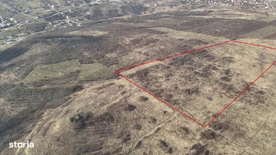 Teren Saldabagiu de Munte cu vedere spre lac - 2