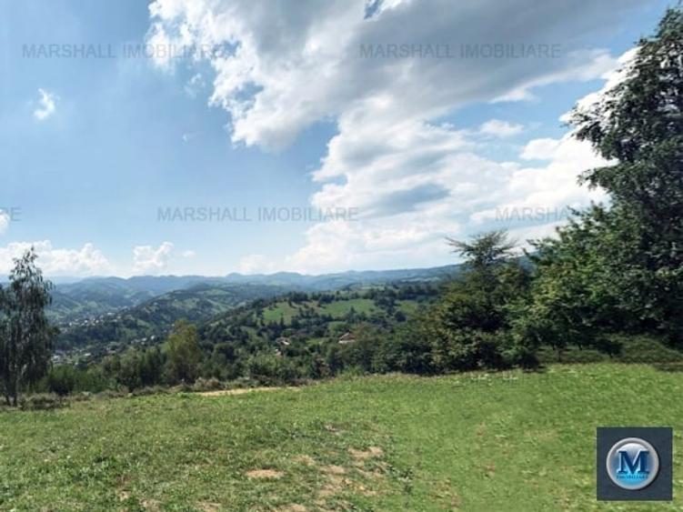 Teren intravilan de vanzare in Bran, 24000 mp #16561 - 5