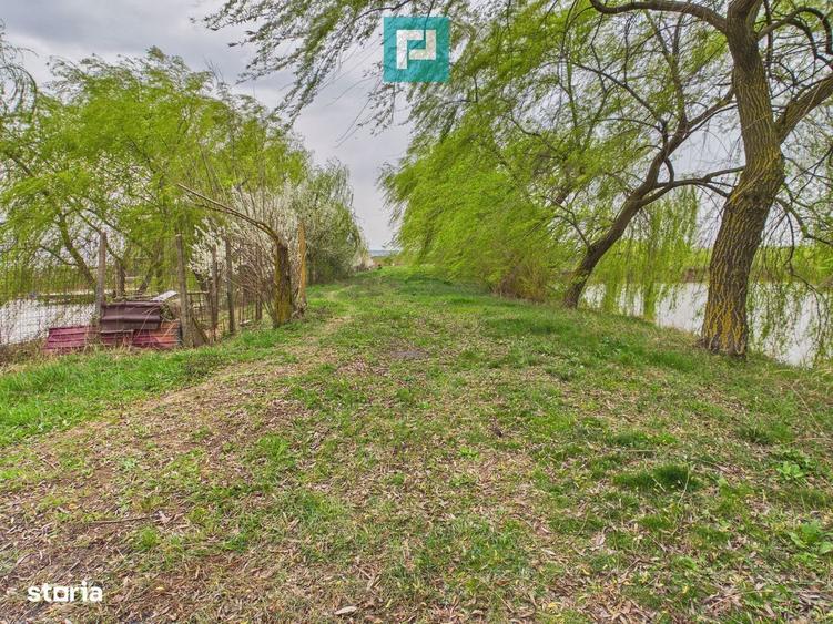 Teren 1 ha cu balta populata Alio? (Ma?loc) - 1