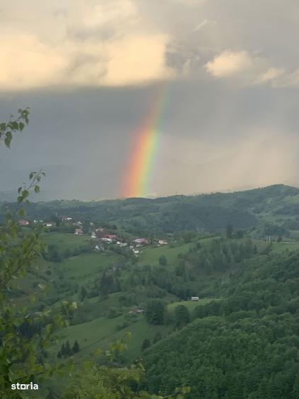Teren de vanzare in mediul rural, acces asfaltat - 6
