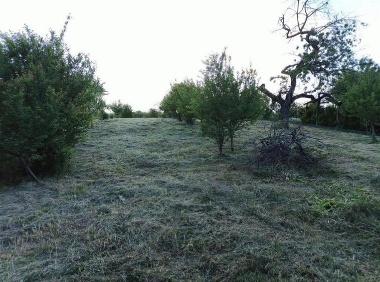 RECO Teren intravilan zona Podgoria - 4