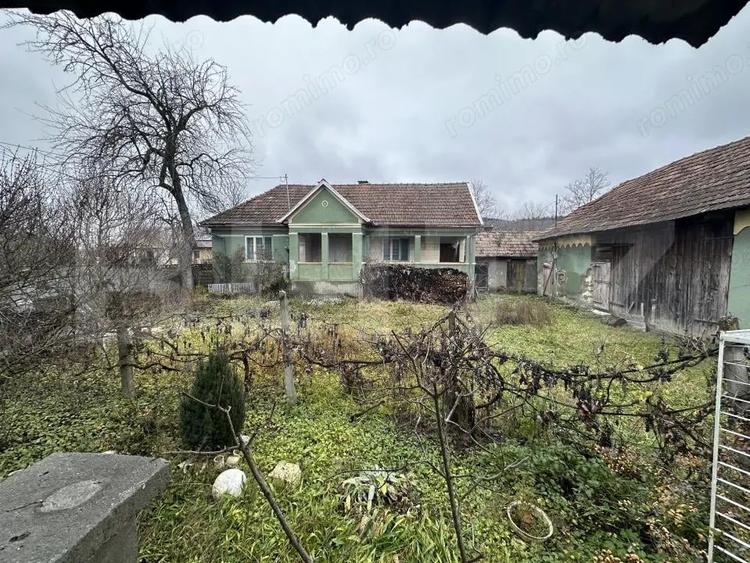 Teren 3000 mp + 2 case de vanzare-Ca?eiu - 8