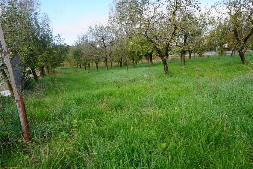 Casa cu cel mai frumos teren de 3800 m din Tataresti jud. Satu Mare - 3