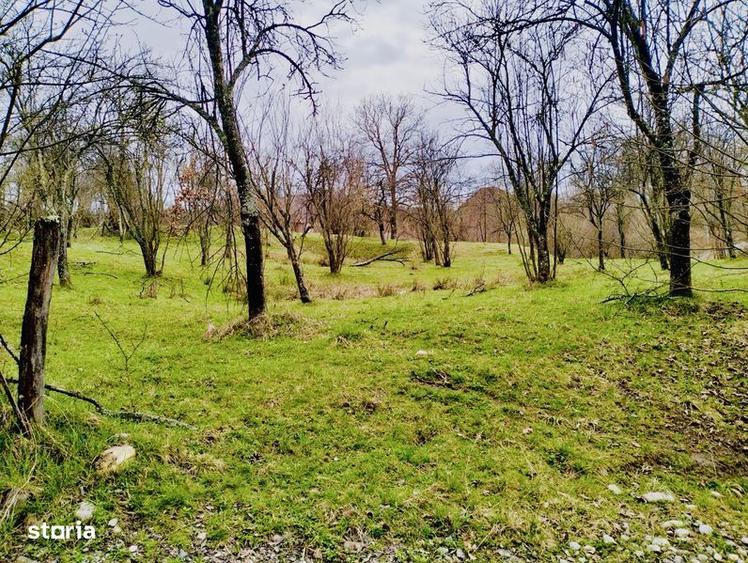 Ocazie! Vand teren Curtea de Arges glamping/ casa vacanta/ pensiune - 5