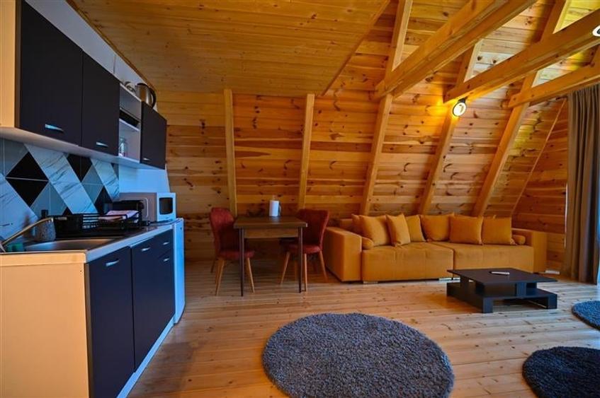 Ansamblu tip A frame, Moieciu de Jos, 2025 - 10