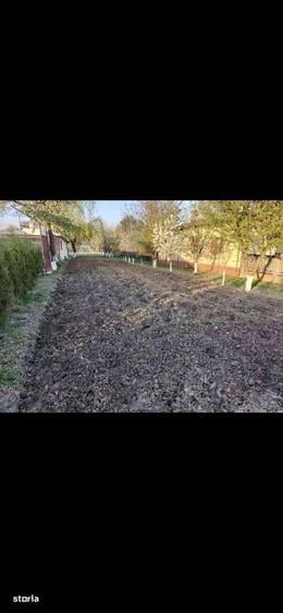 Proprietate mare 2529 mp casa si anexe - 16