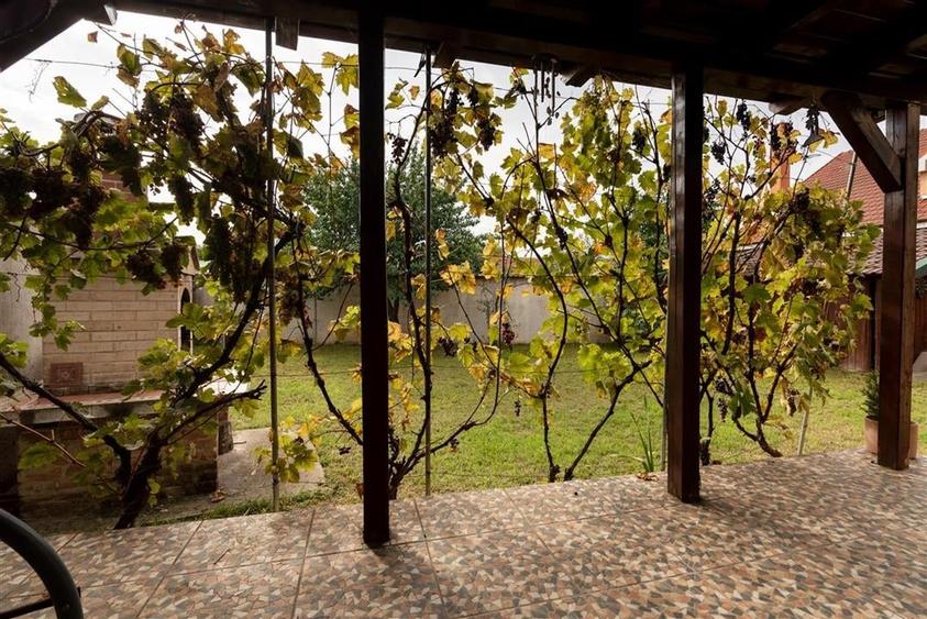 RECO Vila Iosia - 38