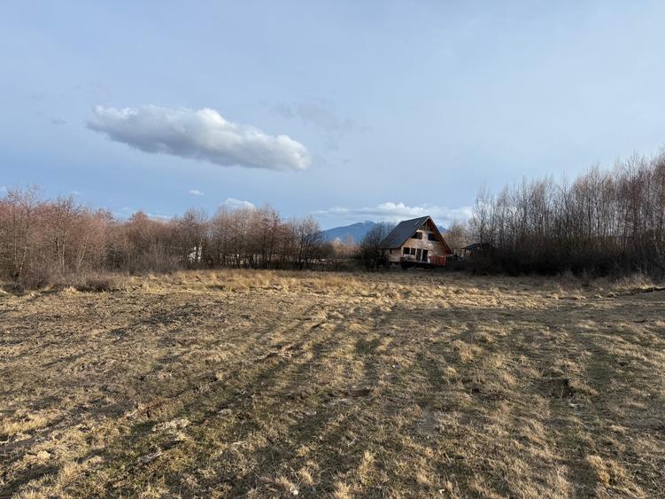 Teren intravilan 500 mp sau 1000 mp în Zarnesti –Tohanita cu parau(izvor) - 2