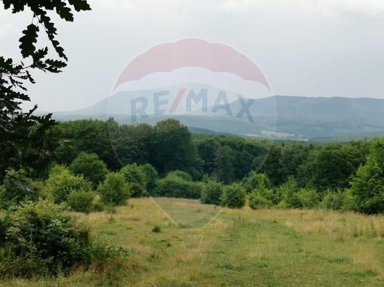 Teren aproape de pădure, situat într-o zonă aerisită - 3