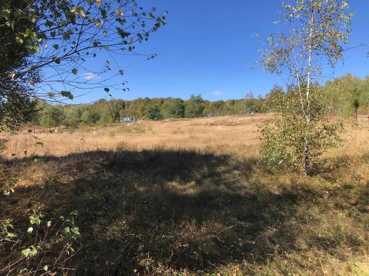 Teren intravilan Salicea 1035 mp - 1