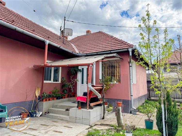 Ansamblu:doua case+anexe+domeniu de 10.101mp, Intorsura Buzaului,Covasna: FILM& - 28