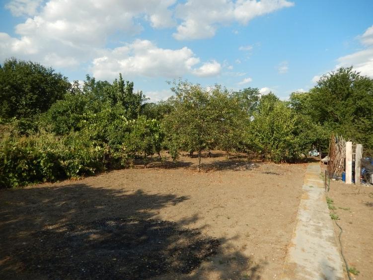 Calugareni-Branistari-casa 4 camere, teren 1965 mp, curent, put, libera,69900 € - 30