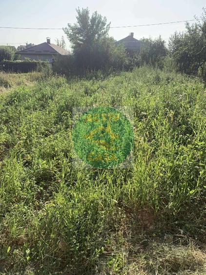 Casa de vanzare, zona Butea-Miclauseni - 9