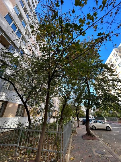 Nicolae Grigorescu 2 Camere Parter Inalt Instalatii Schimbate 5 Min Metrou - 13