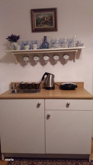 Apartament cochet Cismigiu - 8