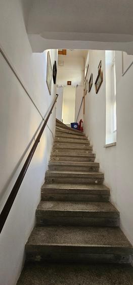 Vanzare - vila - Vatra Luminoasa - 8