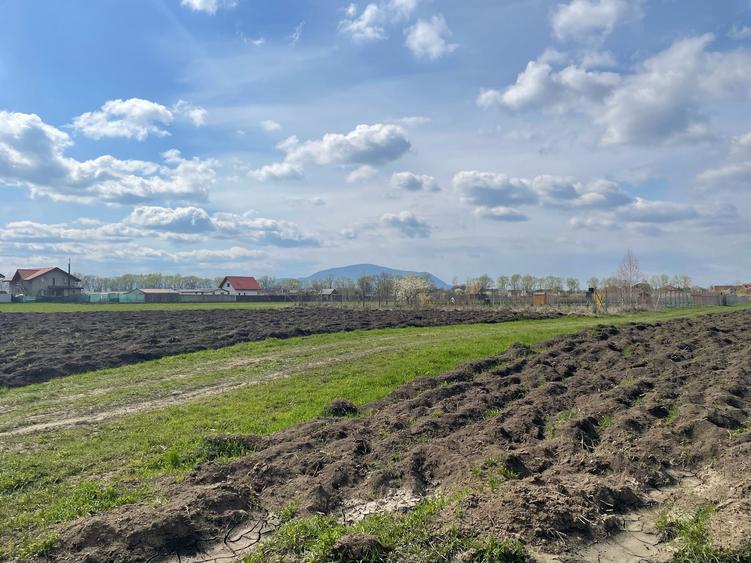 Lot de casa Stupini 480mp! - 2