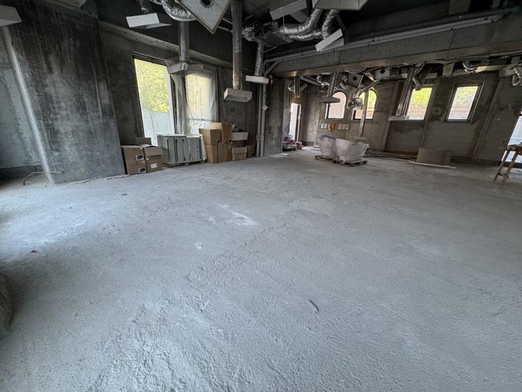 SPATIU COMERCIAL PREMIUM in EMINESCU - DACIA CUSTOM MADE* - 6