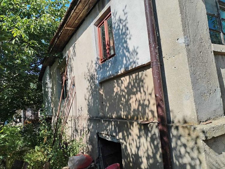 Casa locuibila + teren 2100 mp de vanzare Tamaseni, Satu Mare - 2