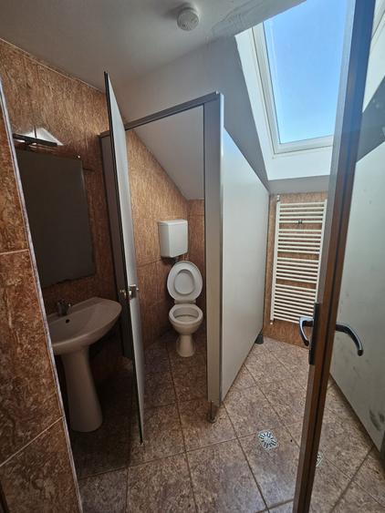 Proprietate speciala Dumbravita - casa individuala !! - 21