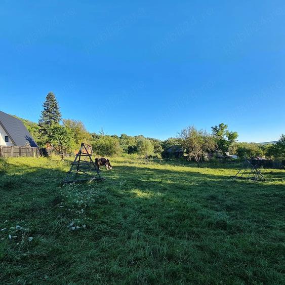 Teren de 2000 mp, în Prosia
