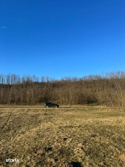 Oaza de liniste cu vedere la munti 2.400 mp langa Aeroportul Sibiu - 4