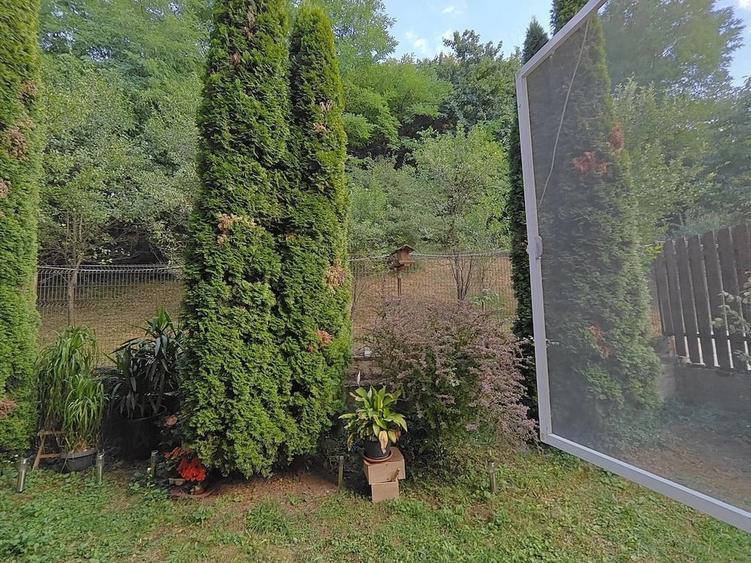 Apartament cu 3 camere si gradina, 2 parcari, zona Fagului - 6
