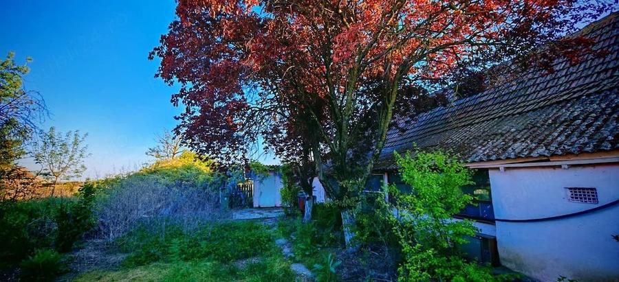 Casă cu Teren 5000 Mp în Saravale
