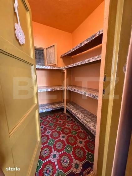Casă cu 4 camere cu Teren 1479 Mp în Șoimuș