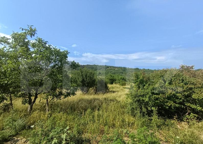 Teren intravilan, de vanzare, 1252 mp, zona Arghires - 2