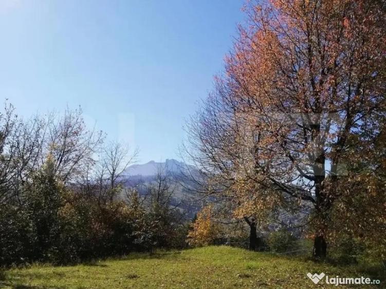 Teren 2500 mp, la strada, Ceahlau,, locatie perfecta - 3