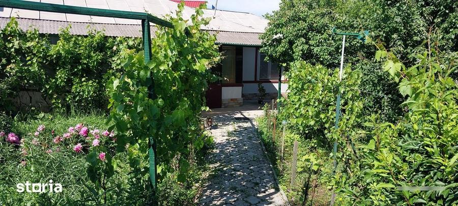 Casa la sosea 1600mp gorneni 100 metri de DN6/E70, 30km de pta. unirii - 9