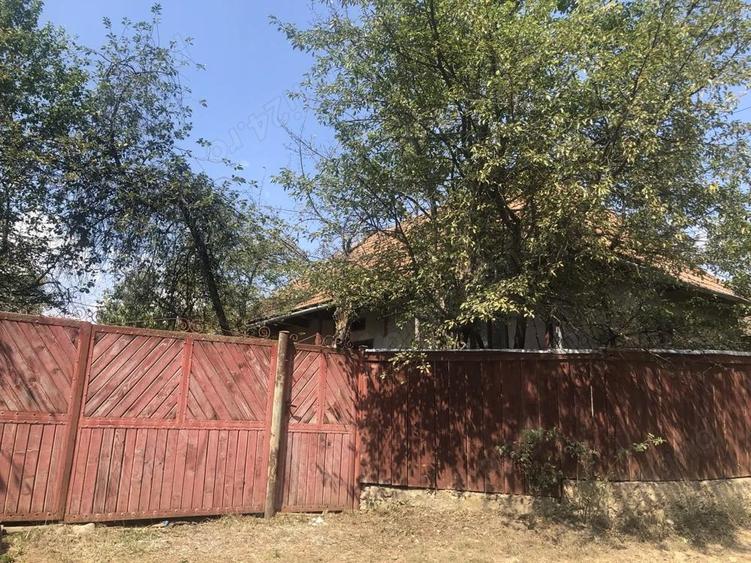 Casa batraneasca de vanzare in satul Martanus, Jud. Covasna - 9