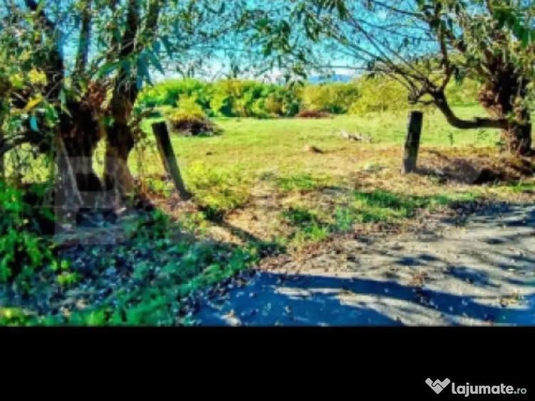 Teren INTRAVILAN cu posibilitate de parcelare ZONA DEOSEBIT? - 2