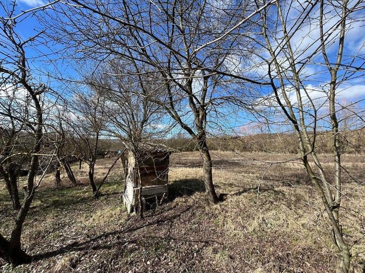 Casa cu Teren Extins Liniste, Natura si Spatiu Generos - 4