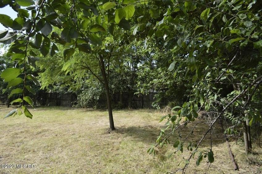 Suseni - Teren intravilan cu casa batraneasca, plan, suprafata 4700 mp! - 10