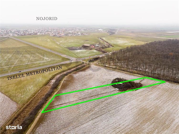 RECO Teren extravilan Nojorid langa Inelul Metropolitan - 3