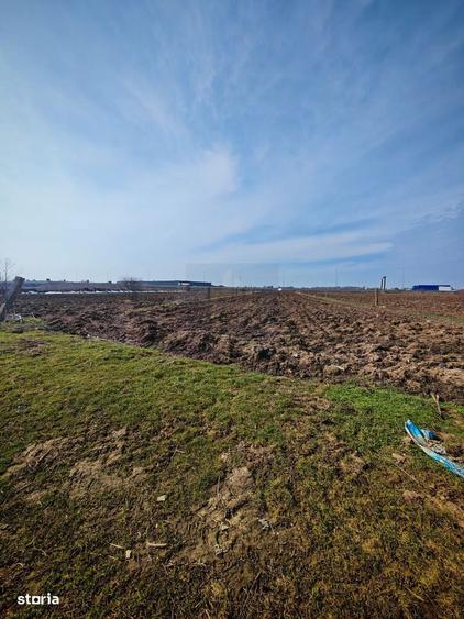 Teren de Vanzare Industrial Caciulati A3 - 5