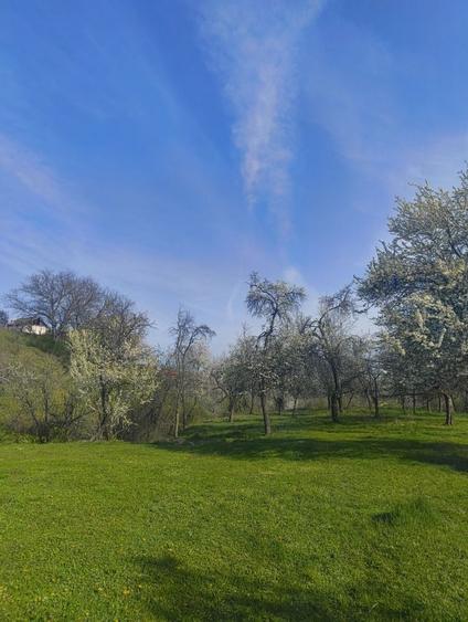 Casa de caramida + teren, sat Bratesti comuna Albesti la 25 de minute de Curtea de Arges! - 8