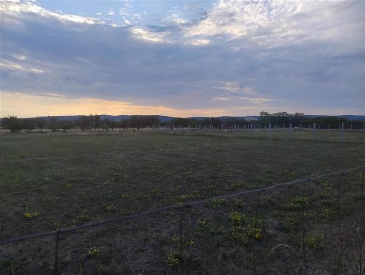 RECO Teren intravilan,Osorhei - 2