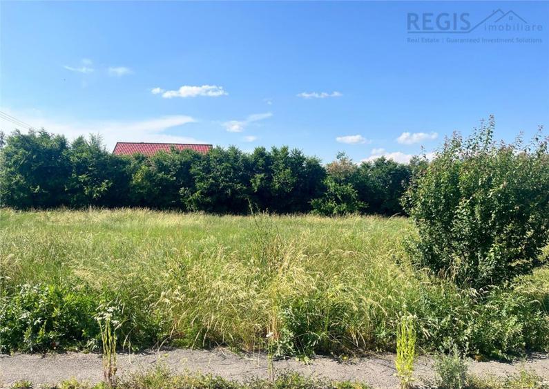 TEREN INTRAVILAN, 1000 mp, HARMAN - 5