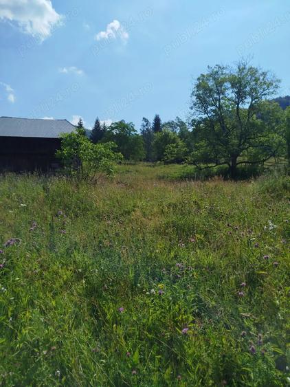 Vand casa si teren Vadu Oii, Gura Teghii - 4