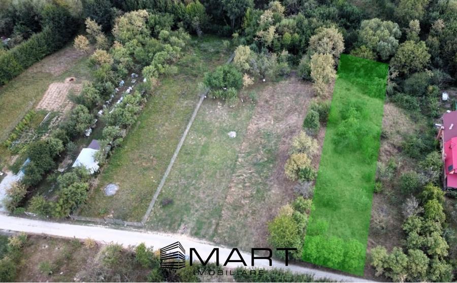 Teren intravilan 1000mp Tropinii Noi - 2