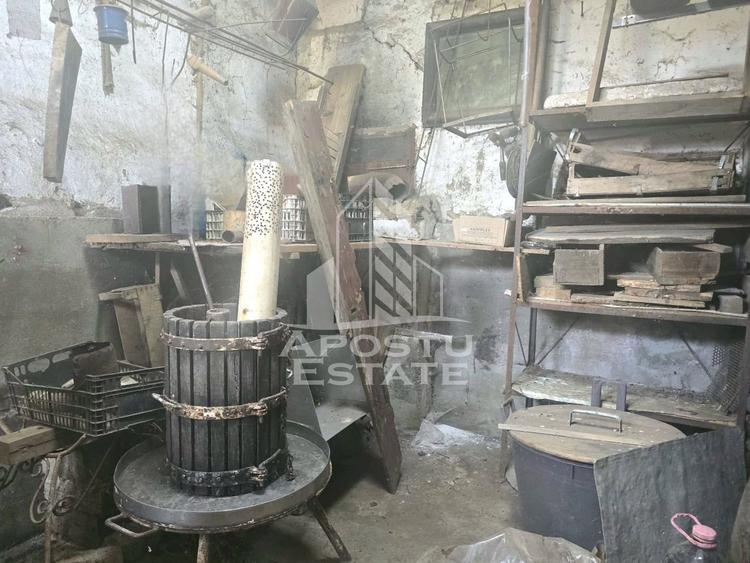 Casa cu teren in localitatea Simand - 12