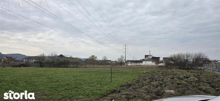 Teren intravilan 2500 mp - Unirea, Str. Platanilor - 1
