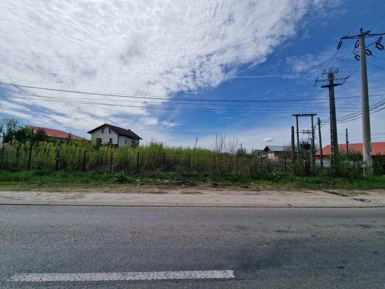 2 Loturi Teren Intravilan 1500 MP Tartasesti Deschidere 30 M / 36 M Utilitati - 1